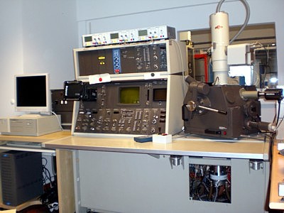 Analytical Services, SEM microscopy and EDX analysis